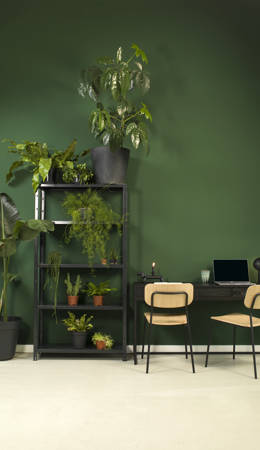 Stoel Forde Blank Eiken